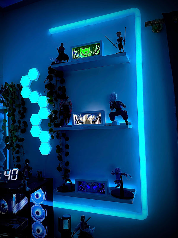 Collector’s wall